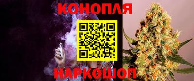 гидра Апрелевка