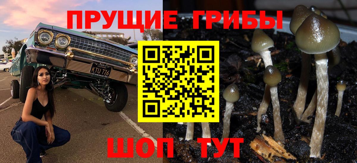 МЕФ Волгодонск