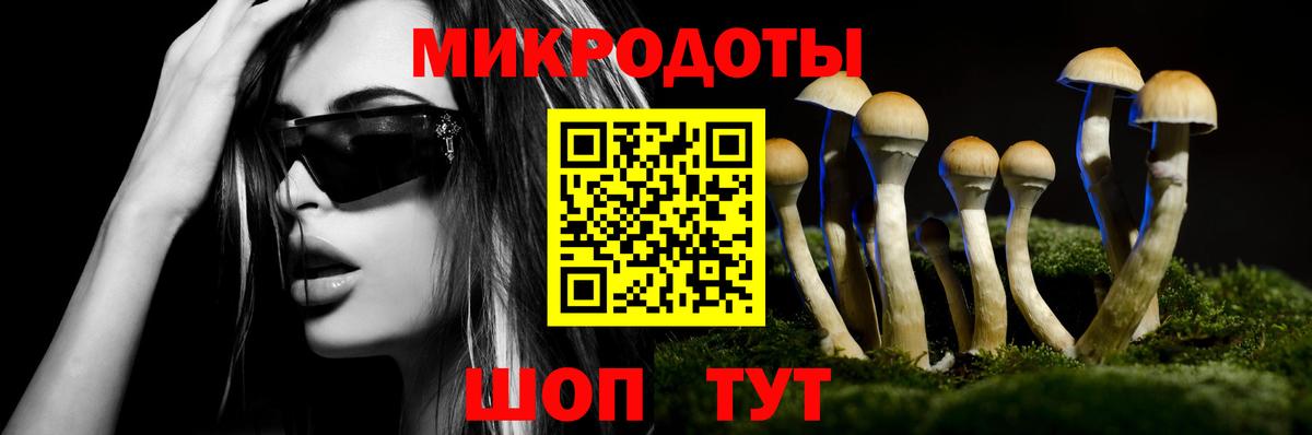 Волгодонск  Псилоцибиновые грибы Cubensis  Вход с VPN  Псилоцибиновые грибы ЛСД 